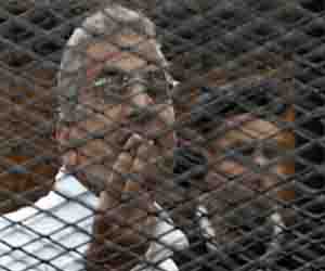   مصر اليوم - بدء محاكمة عصام سلطان لاعتدائه على رجال الشرطة